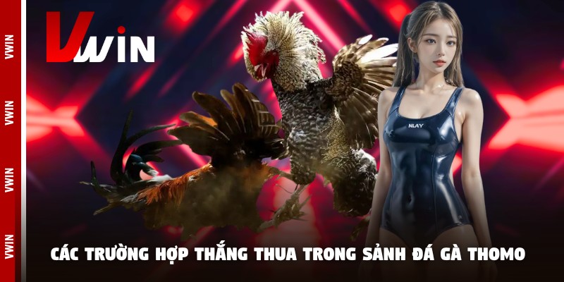 cach choi da ga thomo thang thua Các trường hợp thắng thua trong sảnh đá gà Thomo