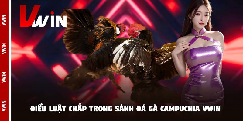 da ga campuchia vwin dieu luat Điều luật chấp trong sảnh đá gà campuchia Vwin