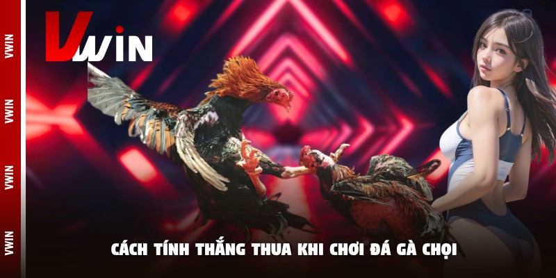 da ga choi luat cach tinh Khi nào chơi đá gà chọi chiến thắng
