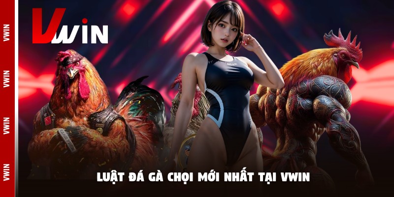 da ga choi luat da ga Luật đá gà chọi mới nhất tại Vwin