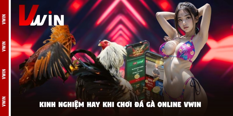 da ga online vwin kinh nghiem Kinh nghiệm hay khi chơi đá gà online Vwin