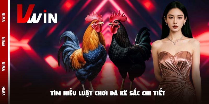 da ga sac tim hieu luat Tìm hiểu luật chơi đá kê sắc chi tiết