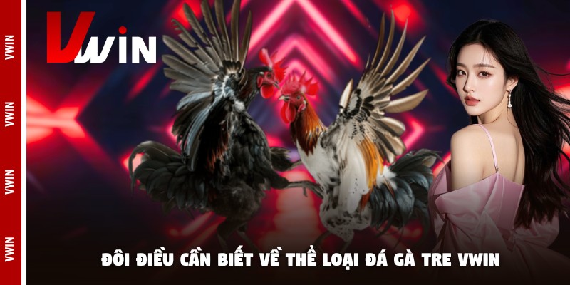 da ga tre vwin doi dieu Đôi điều cần biết về thể loại đá gà tre Vwin