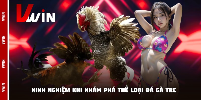 da ga tre vwin kinh nghiem Kinh nghiệm khi khám phá thể loại đá gà tre