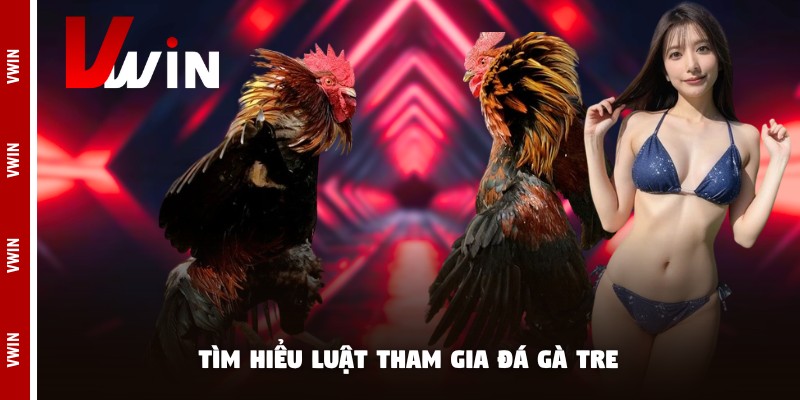 da ga tre vwin tim hieu Tìm hiểu luật tham gia đá gà tre