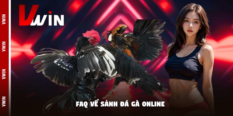 da ga truc tiep fqa FAQ về sảnh đá gà online