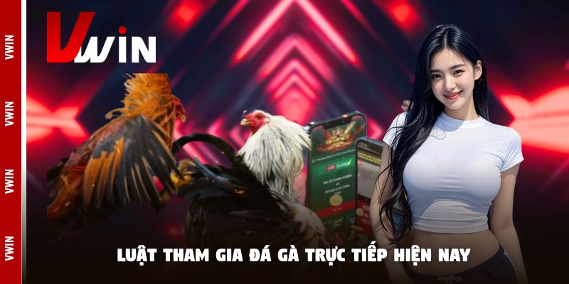 da ga truc tiep luat Luật tham gia đá gà trực tiếp hiện nay