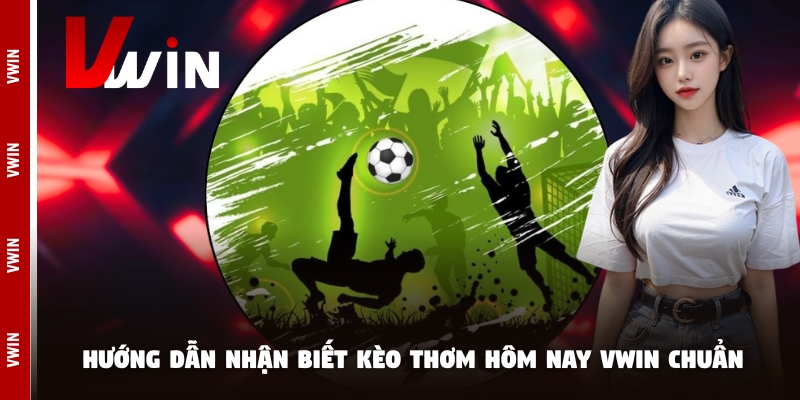 keo thom hom nay vwin chuan Hướng dẫn nhận biết kèo thơm hôm nay Vwin chuẩn