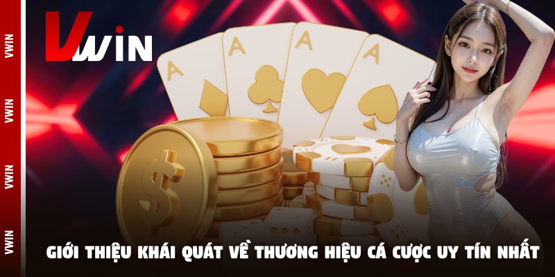 nha cai uy tin vwin gioi thieu Giới thiệu khái quát về thương hiệu cá cược uy tín nhất