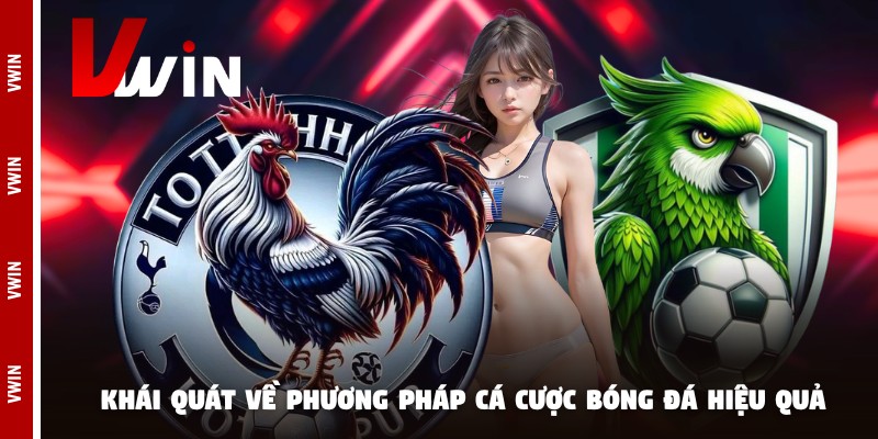 soi keo nha cai khai quat Khái quát về phương pháp cá cược bóng đá hiệu quả