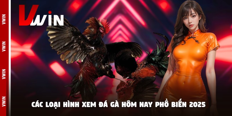 xem da ga hom nay loai hinh Các loại hình xem đá gà hôm nay phổ biến 2025