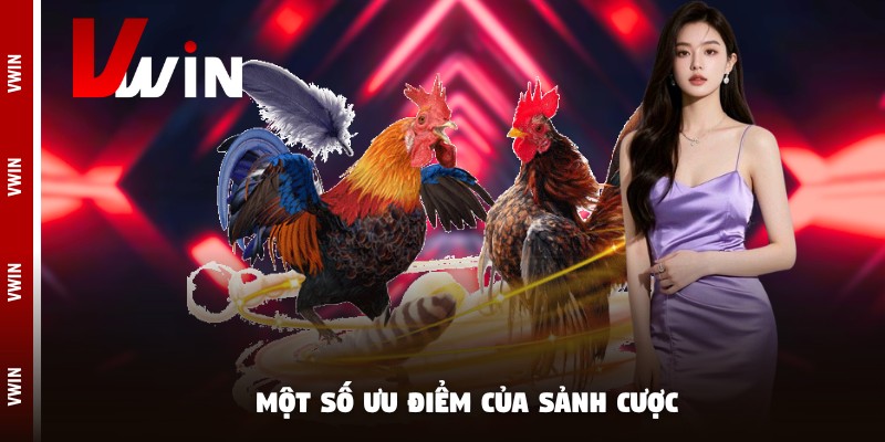 xem da ga hom nay uu diem Một số ưu điểm của sảnh cược